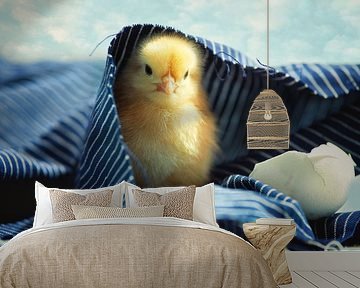 Little chick vers uit het ei van Tanja Riedel