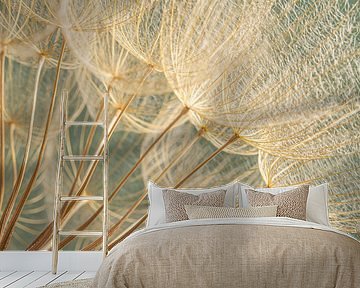 Square with fluff of a Morning Star (Tragopogon)