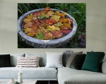 Leaves in the garden in autumn by Claude Laprise
