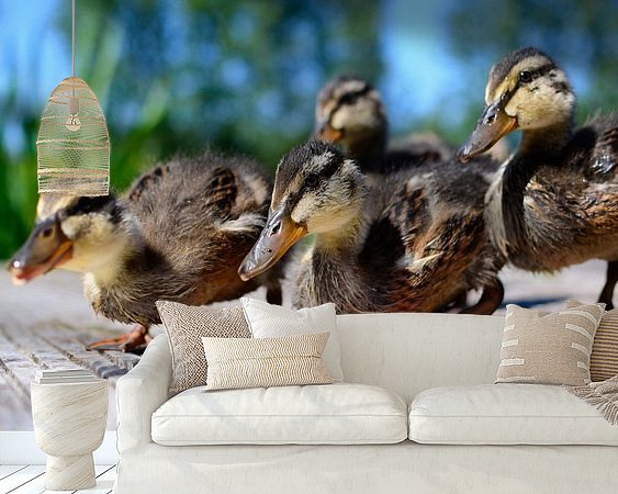 Aperçu de la chambre