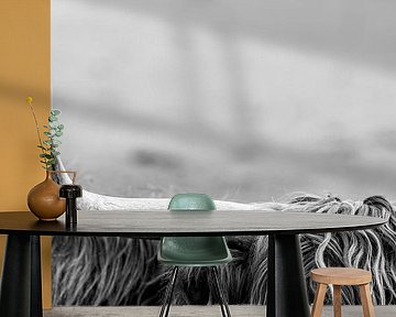 Silent in the Forest - Black Woodpecker in Monochrome by Femke Ketelaar