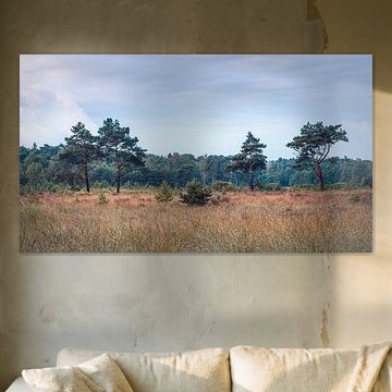 Rij vliegendennen aan de rand van het Bos | Kalmthoutse Heide