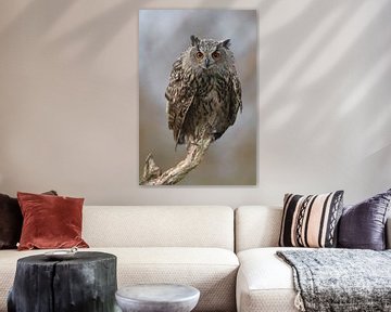 Europese Oehoe (Bubo bubo) van Ronald Pol