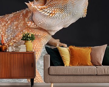 Porträt einer Bartagame von Ronald Pol