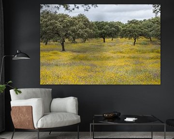 Panorama van een geel bloemen landschap van Peter Haastrecht, van