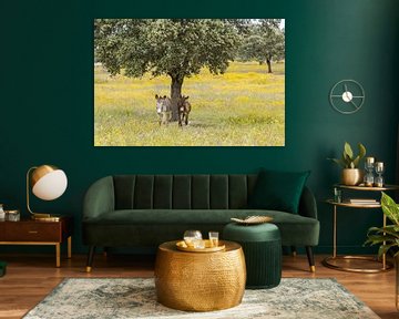 Wildesel in blumiger Landschaft! von Peter Haastrecht, van