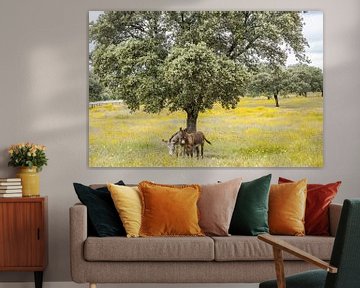 Wildesel in blumiger Landschaft! von Peter Haastrecht, van
