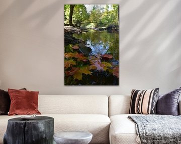 The creek in the park in autumn by Claude Laprise