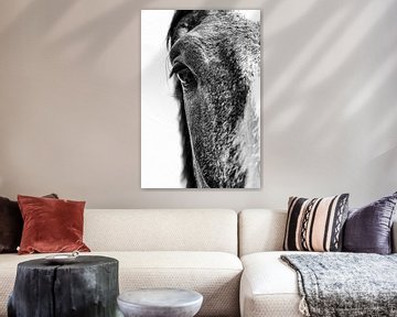 paardenportret in zwart-wit van Contrast inBeeld