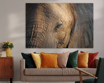 The Elephant - Africa wildlife  by W. Woyke