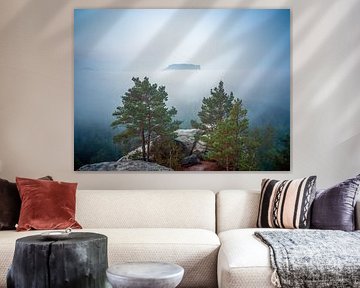Uitzicht vanaf de Gamrig naar de Lilienstein (Saksisch Zwitserland/Elbezandsteengebergte) van t.ART