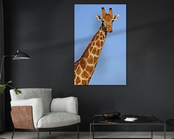 De giraffe - Wilde dieren in Afrika van W. Woyke