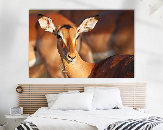 Voorbeeld van het werk in een kamer