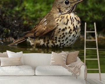 Portret van een Zanglijster van Ronald Pol