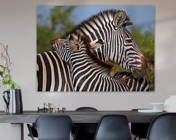 Liefhebbende zebra's - Wilde dieren in Afrika van W. Woyke