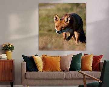 Jagd auf den Fuchs von Fotografie Egmond