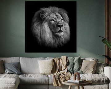 Lion head in black and white