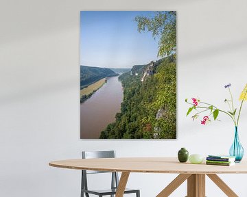 Uitzicht op de Elbe en de stad Wehlen vanaf het uitzichtspunt Tiedge (Bastei) van t.ART