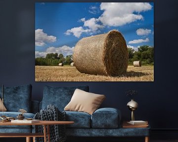 Bales of straw van Rico Ködder