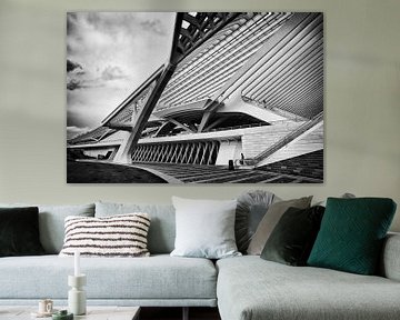 Treinstation Guillemins @ Luik van Rob Boon