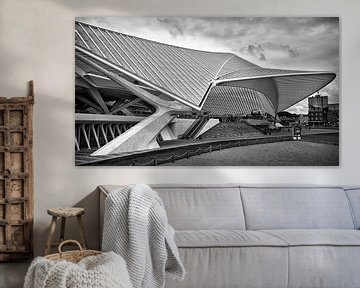 Treinstation Guillemins @ Luik van Rob Boon