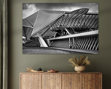 Treinstation Guillemins @ Luik van Rob Boon