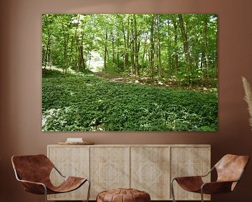 A deciduous forest in summer by Claude Laprise