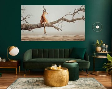 Antilope in luchtig evenwicht van Klaus Tesching - Art-AI