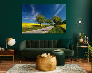 Street through a canola field van Rico Ködder