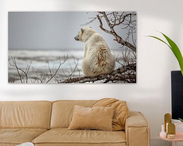 IJsbeer staart over het uitgestrekte ijzige landschap van Klaus Tesching - Art-AI