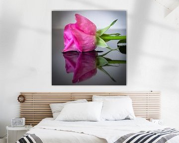 Reflections of a Pink Rose – Tranquil Elegance van Betty Verheij