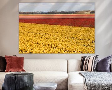 Bunt sind schon die Felder 01 by Ulrich Fuchs