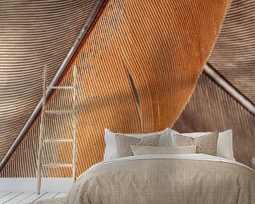 Simplicity in lines: Close-up of feathers by Marjolijn van den Berg