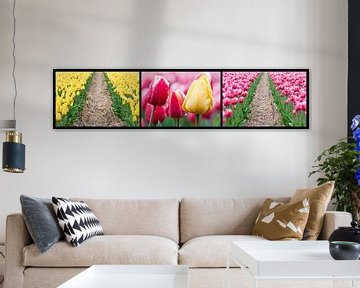 tulpen drieluik  von Fotografie Egmond