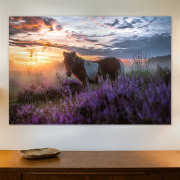 Der Himmel auf Erden