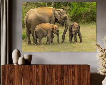 Elefantenmutter mit Jungtieren Sri Lanka von Lex van Doorn