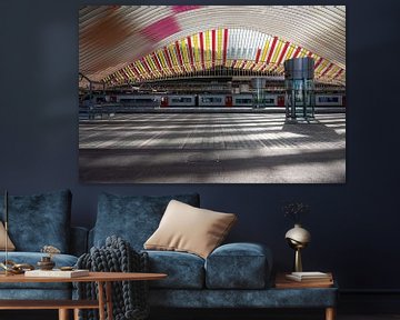 Liège Guillemins treinstation perron van Werner Lerooy