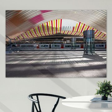 Quai de la gare de Liège Guillemins sur Werner Lerooy