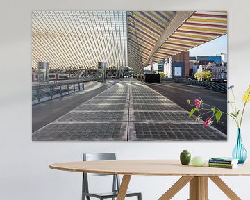 Luik Guillemins treinstation perron rechtdoor van Werner Lerooy