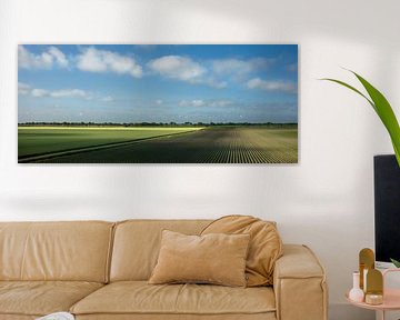 Vast fields in the early morning (panorama) by Bo Scheeringa Photography