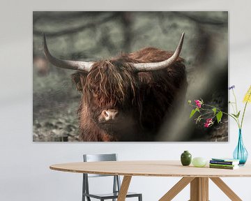 Majestueuze Rust Schotse hooglander in de Wildernis van Femke Ketelaar