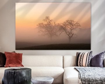 Broederliefde van Anselm Ziegler Photography