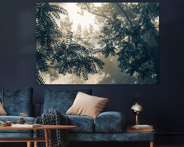 Het ontwaken van bomen in het ochtendlicht. Monochroom. van Femke den Hollander