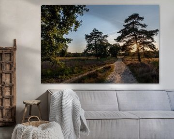 Sandy path through the heath by Bettina Schnittert