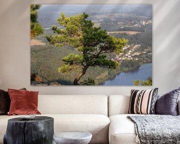 Weather pine on the Lilienstein - Saxon Switzerland / Elbe Sandstone Mountains by t.ART