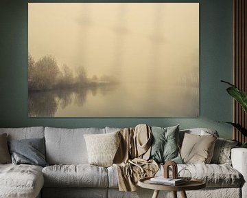 Het ontwaken van bomen in het ochtendlicht. Monochroom. van Femke den Hollander