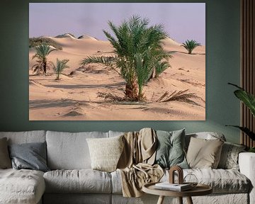 Palmbomen groeiend in de Oase Dakhia in Egypte van Nature in Stock