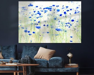 cornflowers, painted with light van jowan iven