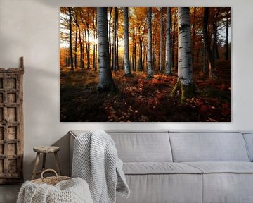 Jasmunder Herbst von fernlichtsicht