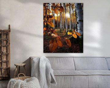 Herbst auf Rügen von fernlichtsicht